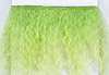 Custom Mohair Wefted（MW-30）Green Peas