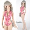 DD Sexy Swimsuit (SS07-4) Pink Stripe